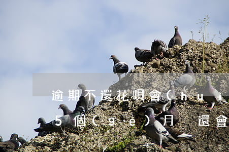 逾期不還花唄會(huì)怎么樣(花唄逾期5個(gè)月沒還會(huì)有什么嚴(yán)重后果)