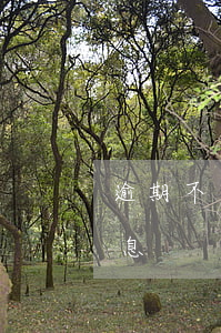 逾期不還貸款罰息嗎(逾期償還貸款的銀行罰息)