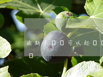 逾期不還錢可以起訴嗎（逾期起訴后必須還錢嗎）