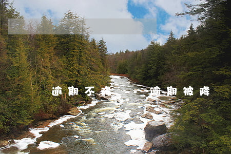 逾期不降級-逾期被降額