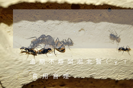 逾期不離開湖北醫(yī)護(hù)人員費用自理