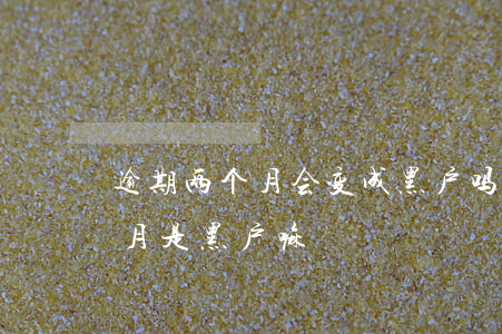 逾期两个月会变成黑户吗（信用卡逾期三个多月是黑户嘛）