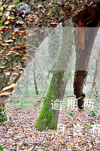 逾期两个月信用卡还能用吗(信用卡逾期两个月会有什么后果)