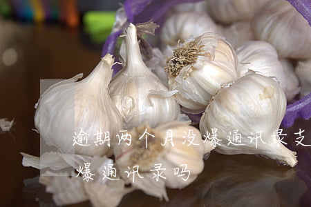 逾期两个月没爆通讯录支付宝(支付逾期会被爆通讯录吗)