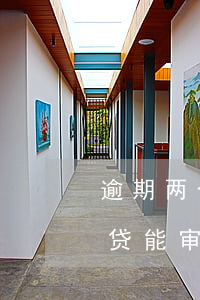 逾期两个月能办理房贷吗(征信逾期两个月,房贷能审核过吗)
