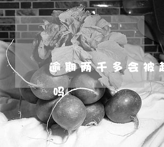 逾期两千多会被起诉吗(逾期一千多会被起诉吗)