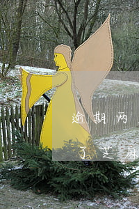 逾期两天花呗用不了芝麻分降了-花呗逾期了芝麻信用降低了还能恢复吗