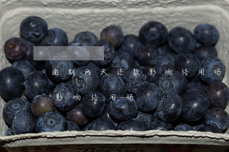 逾期两天还款影响信用吗(逾期一天还了款会影响信用吗)