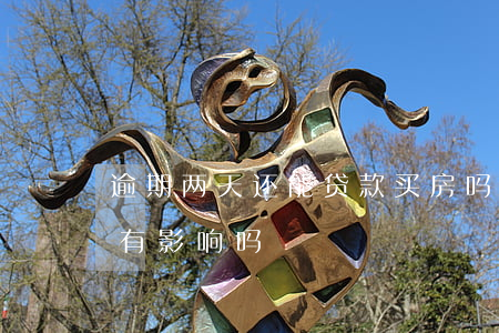 逾期两天还能贷款买房吗(还房贷逾期两天了有影响吗?)
