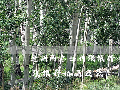 逾期两年如何跟银行协商还款(逾期两年如何跟银行协商还款)