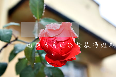 逾期两月还能贷款吗(逾期俩月内会被起诉么)