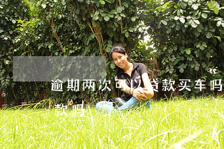 逾期两次可以贷款买车吗(逾期买车吗可以贷款吗)