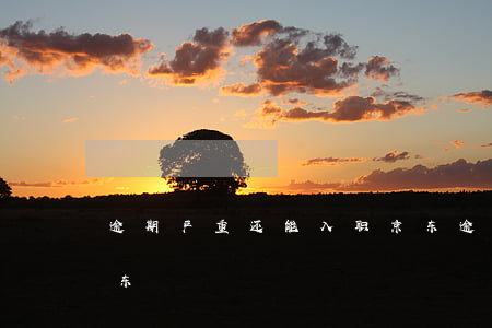 逾期严重还能入职京东 逾期严重还能入职京东