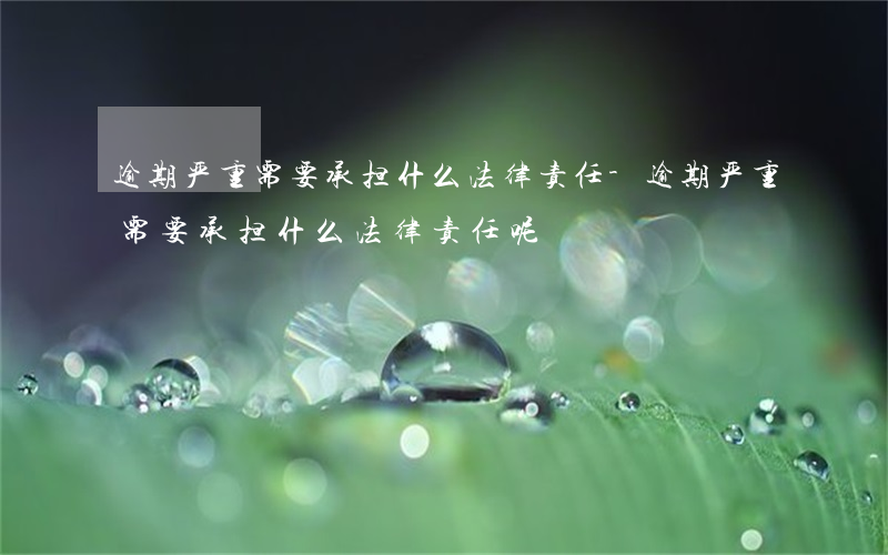逾期严重需要承担什么法律责任-逾期严重需要承担什么法律责任呢