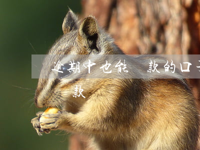 逾期中也能貸款的口子(逾期中哪些平臺可以貸款)