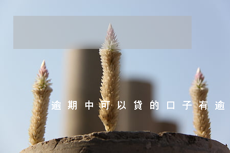 逾期中可以貸的口子(有逾期能貸款的口子)