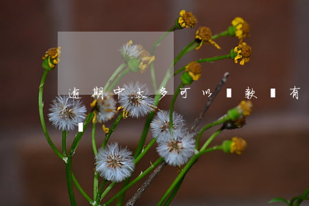 逾期中太多可以貸款嗎(有嚴重逾期可以貸款嗎)