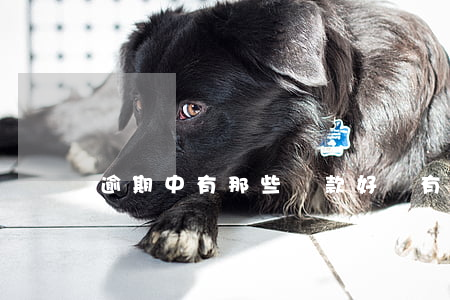 逾期中有那些貸款好貸(有逾期想貸款)