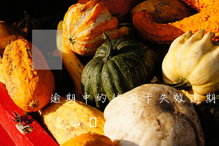 逾期中的信用卡失效(逾期中的信用卡失效了怎么辦)