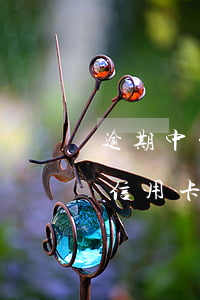 逾期中的信用卡有额度可以刷吗(有过逾期的信用卡还能提额度吗)