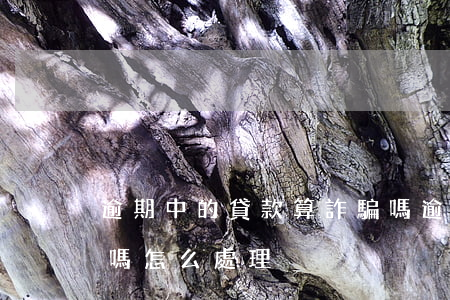 逾期中的貸款算詐騙嗎(逾期中的貸款算詐騙嗎怎么處理)
