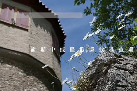 逾期中能最低還款嗎(逾期中能最低還款嗎)