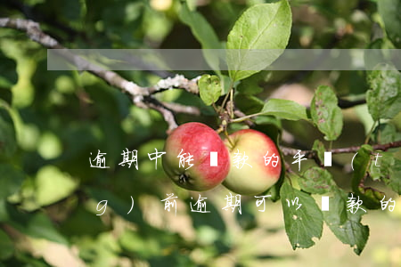 逾期中能貸款的平臺(tái)(當(dāng)前逾期可以貸款的平臺(tái))