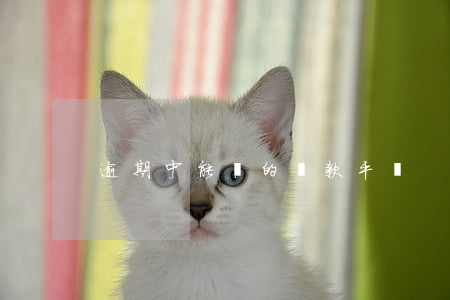 逾期中能過的貸款平臺