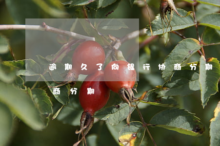 逾期久了向银行协商分期还款（逾期90天协商分期）
