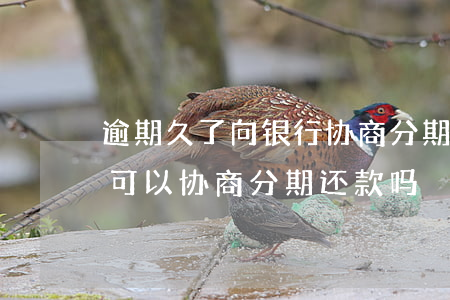 逾期久了向银行协商分期还款（逾期法院立案可以协商分期还款吗）
