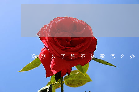 逾期久了贷不贷款怎么办