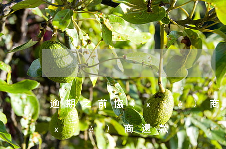 逾期之前協(xié)商還款(逾期之前協(xié)商還款)