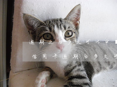 逾期之后多久可以申請(qǐng)信用卡（信用卡逾期后多久可以重新使用）