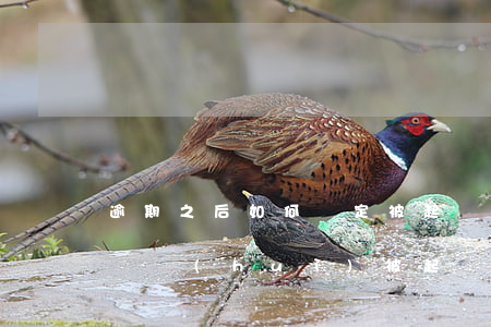 逾期之后如何確定被起訴了(逾期一般什么情況會(huì)被起訴)