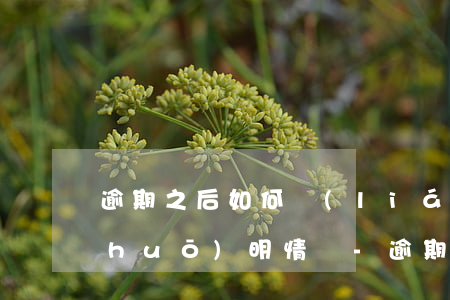 逾期之后如何聯(lián)系銀行說(shuō)明情況-逾期之后如何聯(lián)系銀行說(shuō)明情況呢