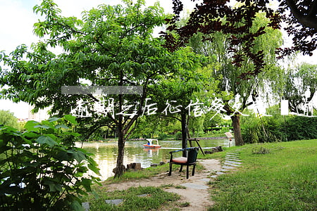 逾期之后征信多久覆蓋(逾期征信多久消失)
