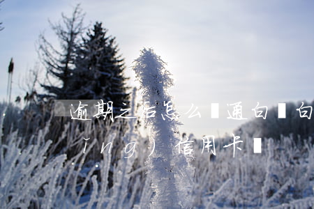 逾期之后怎么開通白條(白條逾期能申請(qǐng)信用卡嗎)