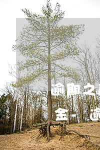 逾期之后有能力怎么協(xié)商只還本金-逾期如何協(xié)商只還本金