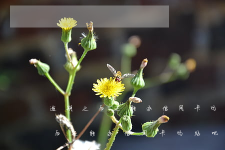 逾期之后还能办信用卡吗贴吧论坛-逾期之后还能办信用卡吗贴吧论坛