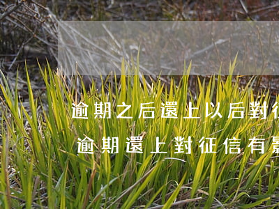 逾期之后還上以后對征信有什么影響（信用卡逾期還上對征信有影響嗎）