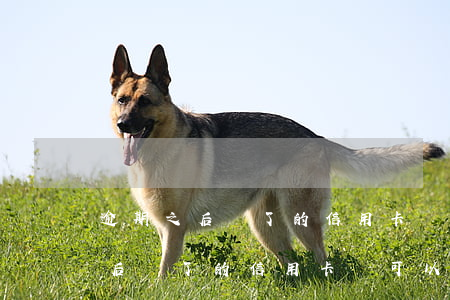 逾期之后還了的信用卡還可以用嗎-逾期之后還了的信用卡還可以用嗎安全嗎