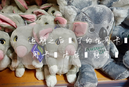 逾期之后還了的信用卡還可以用嗎(逾期的信用卡還清后還能用嗎)