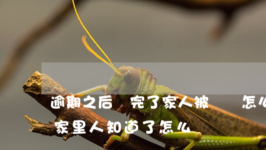 逾期之后還完了家人被騷擾怎么辦-逾期被家里人知道了怎么辦