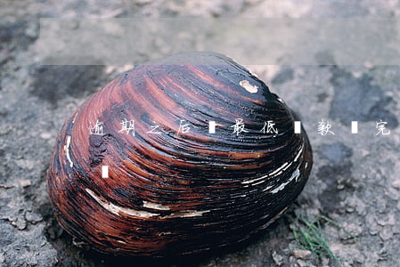 逾期之后還最低還款(還完最低還款額算逾期嗎)