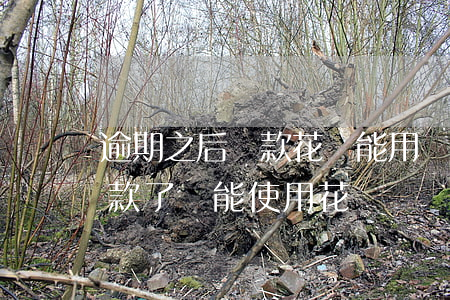 逾期之后還款花唄能用嗎(花唄逾期很久后還款了還能使用花唄嗎?)
