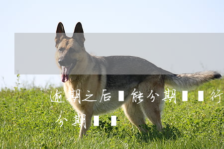逾期之后還能分期嗎（銀行信用卡逾期后可以分期還嗎）