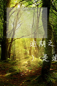 逾期之月起是什么意思(逾期月份數(shù)是逾期次數(shù)嗎)