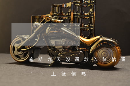 逾期九天沒還款入征信嗎(逾期9天會(huì)上征信嗎)