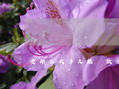 逾期九次多久能貸款(逾期9次能貸款買房嗎)