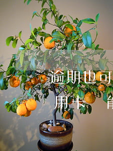 逾期也可以貸款的信用卡 銀行貸款逾期了信用卡還能用嗎